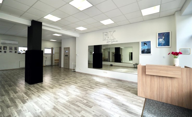 premise for rent - Oleśnica